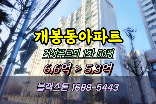  구로구 개봉동 거성푸르뫼아파트 경매 50평 101동