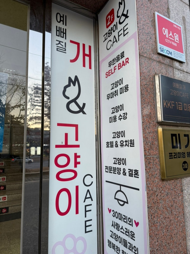 사진 10