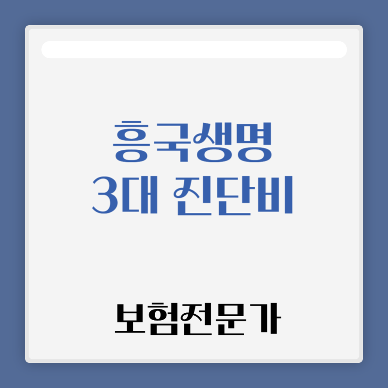 흥국생명 다사랑통합보험 암진단비 뇌혈관 허혈성 저렴하게 준비하자