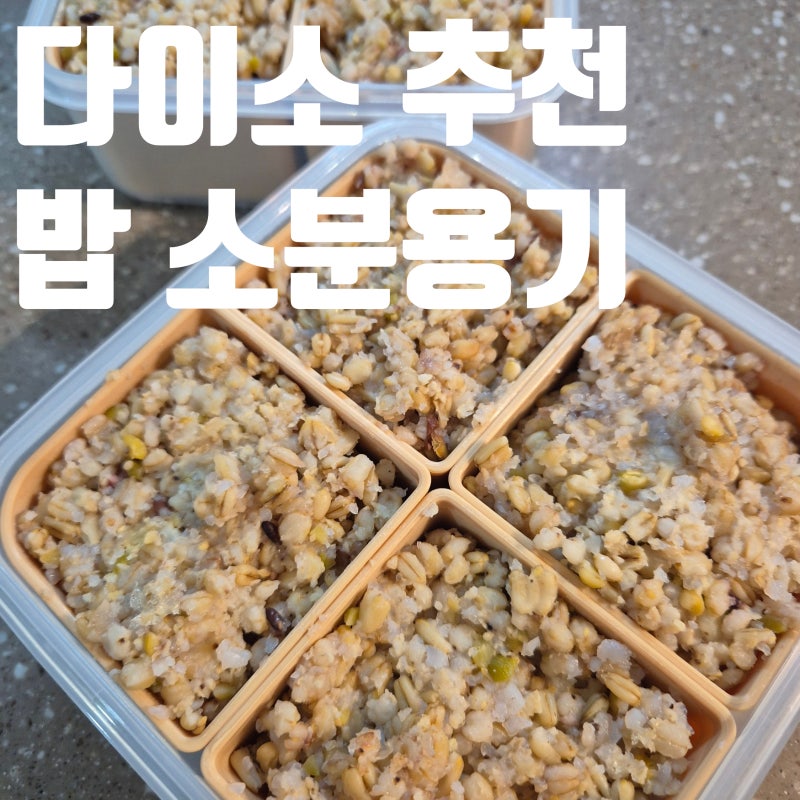 다이소 밥 소분용기 추천