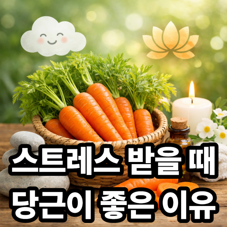   당근이 스트레스 완화에 도움 되는 이유｜마음까지 편안해지는 채소