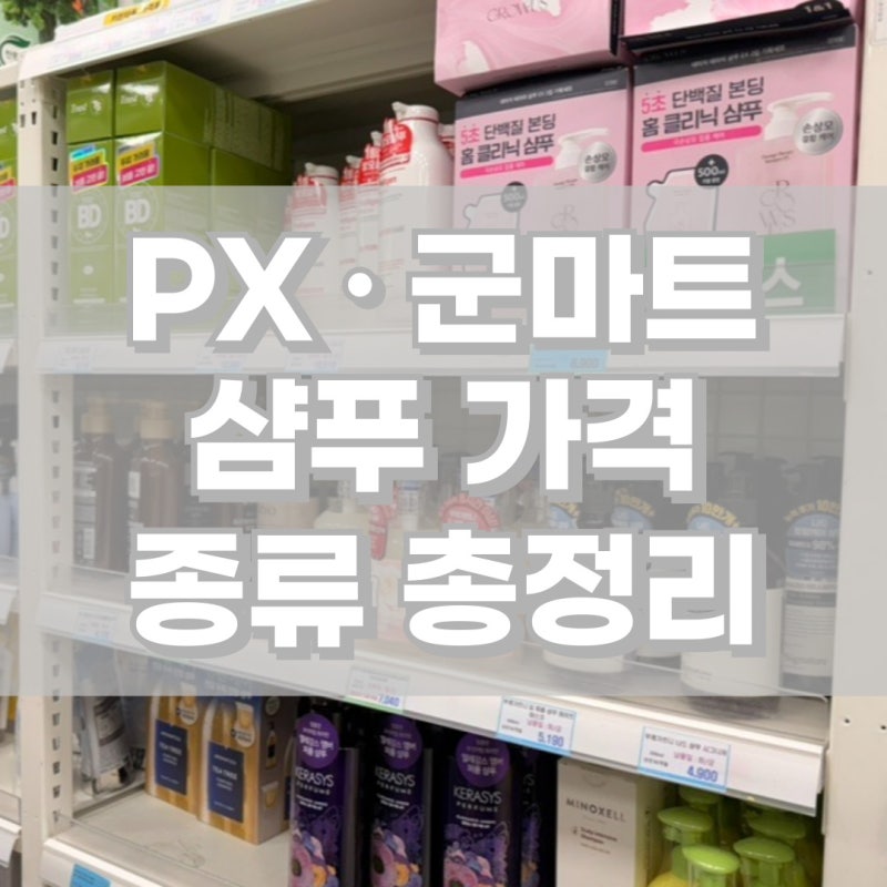 px 샴푸 가격 및 종류, 군마트 샴푸 추천