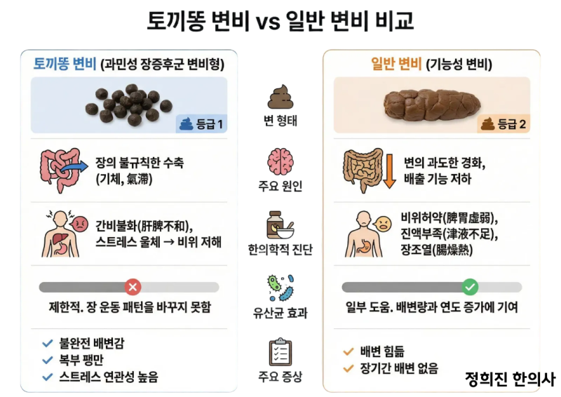 토끼똥 변비 원인과 해법 - 유산균을 먹어도 안나을 때
