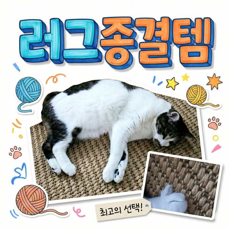  고양이집 러그 종결템 스크래쳐야 러그야? 내구성까지 검증된 5년째 내돈내산템