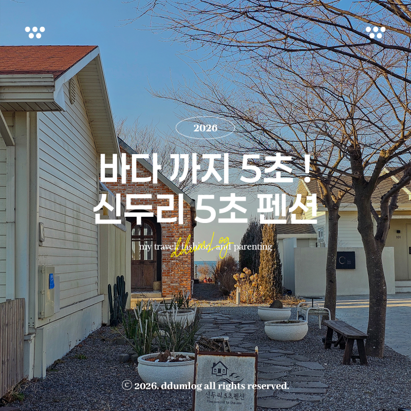 태안 신두리 5초 펜션 해수욕장 앞 신축 감성숙소