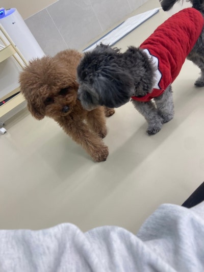 사진 7