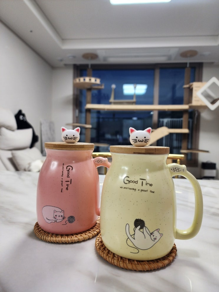  머그컵 선물 탤리마켓 고양이 컵 뚜껑+티스푼 풀세트라 홈카페 감성 뚝딱!