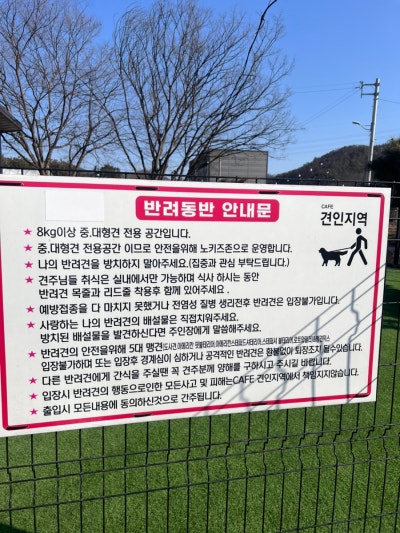 사진 5