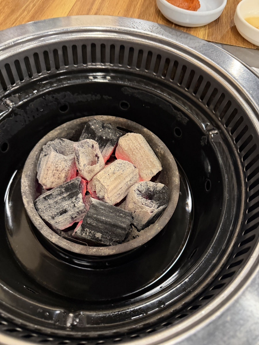 제주통도야지 사진 6