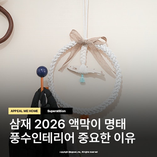  삼재2026 액막이명태 풍수인테리어 중요한 이유 설선물로도 챙겨봐요
