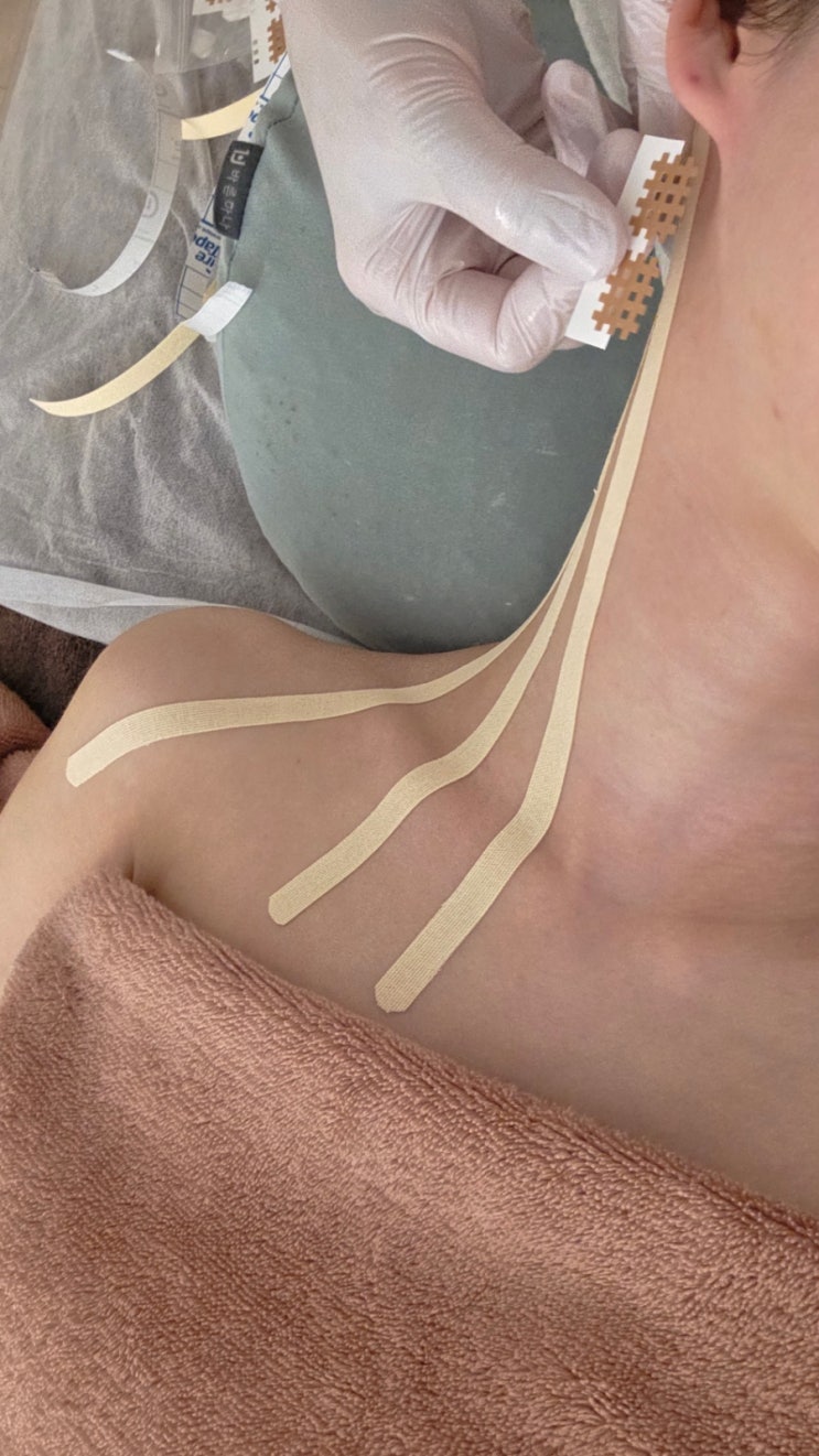  인천송도 에스테틱 고압산소케어 림프순환관리 후기 프라나 림프순환연구소 아유르베다 체질분석까지