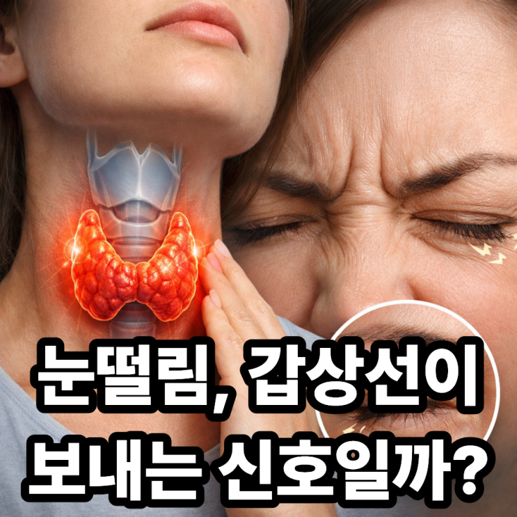   갑상선 이상과 눈떨림의 관계｜단순 피로가 아닐 수도 있는 이유