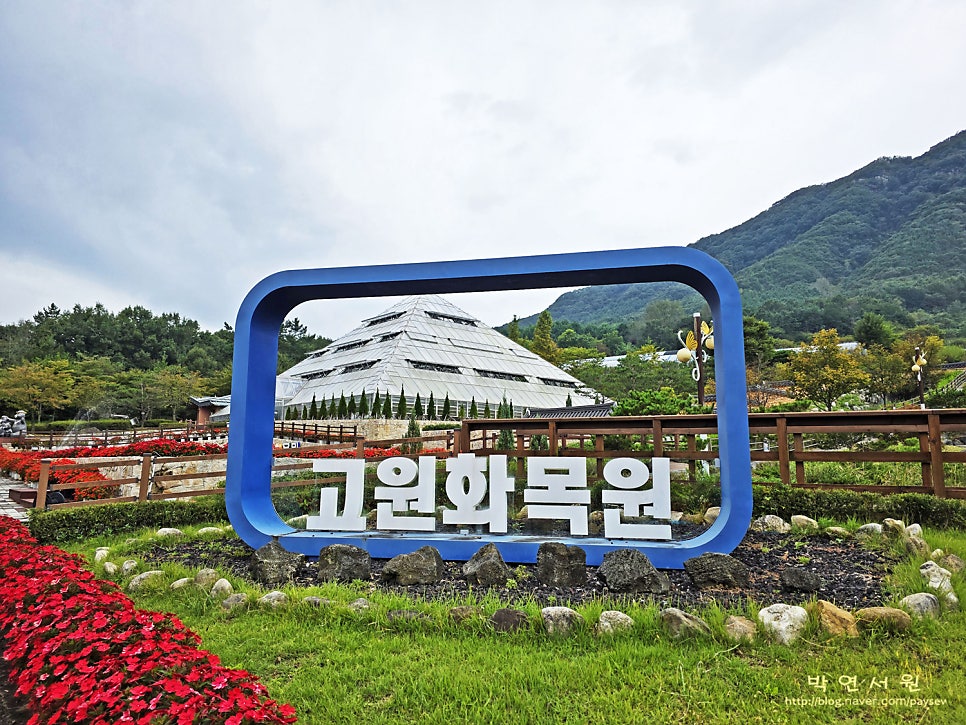 대성식당 사진 6