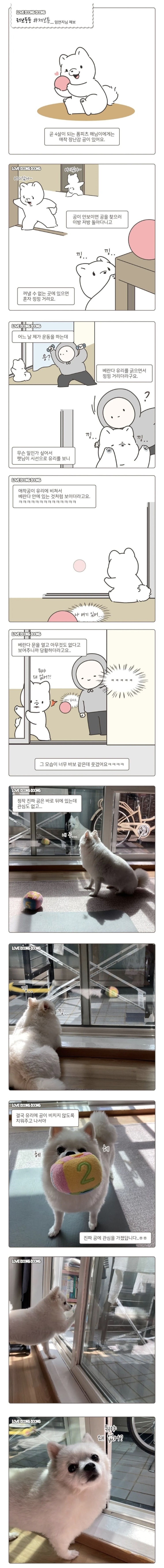  애착 장난감 공을 잃어버린 댕댕이.Manhwa