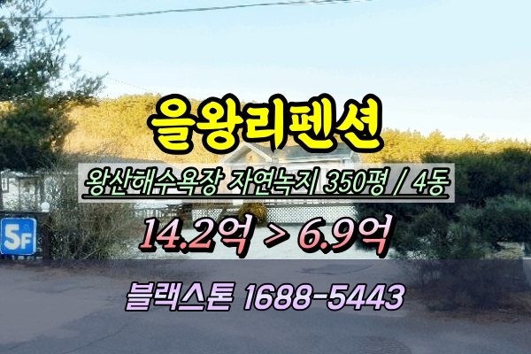  을왕리 펜션 경매 왕산해수욕장 350평 ︎2025타경507426