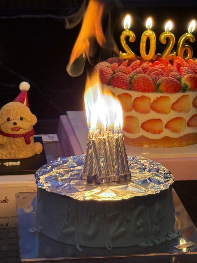 2026년 1월 결산 (01)