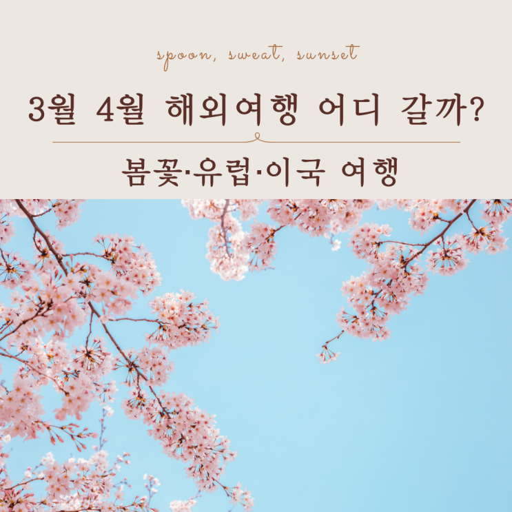  3,4월 해외여행지 추천｜봄에 떠나기 딱 좋은 여행지 총정리