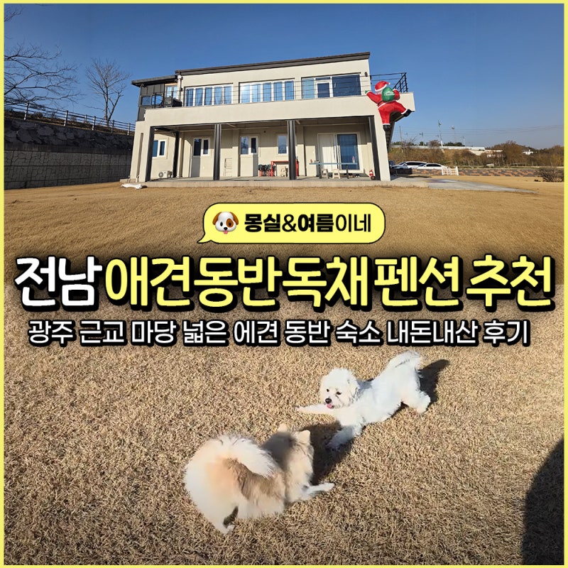 사진 3