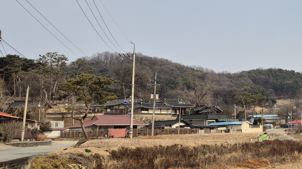 응봉산 사진 5