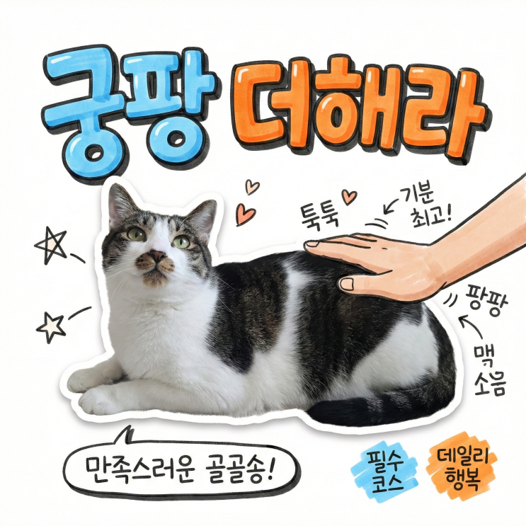  궁최몇?궁팡하다 물린 집사 필독! 고양이 궁디팡팡 최적의 시간은?