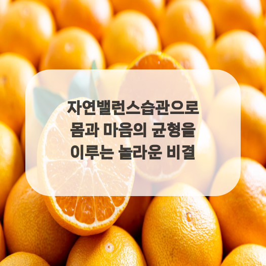  자연밸런스습관으로 몸과 마음의 균형을 이루는 놀라운 비결