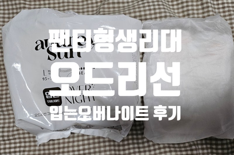 입는오버나이트 대형 흡수 방식 정리, 오드리선 오버나이트팬티 특징