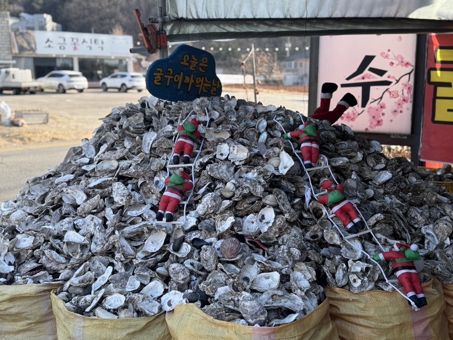 다람농원 사진 3