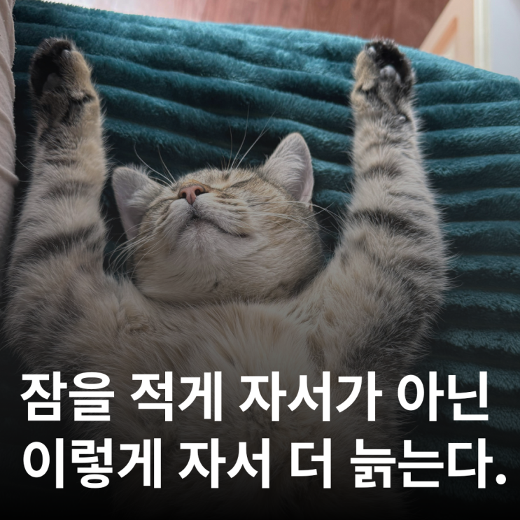  잠을 적게 자서가 아니라, ‘이렇게’ 자서 더 빨리 늙습니다