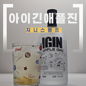 [지니스램프/아이긴(IGIN) 애플진] 전통주선물로 좋은 애플진 하이볼 만들기