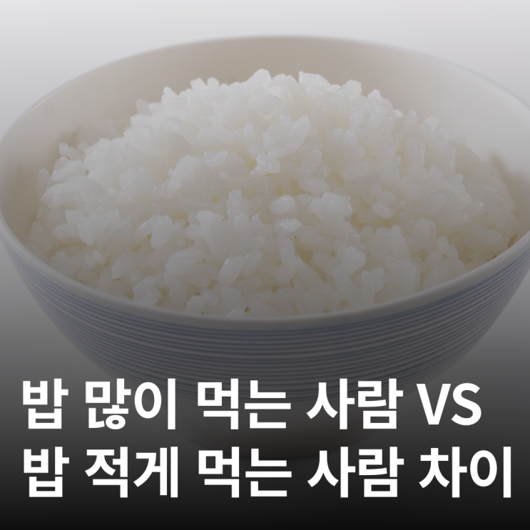  밥을 많이 먹는 게 문제일까, 적게 먹는 게 문제일까?
