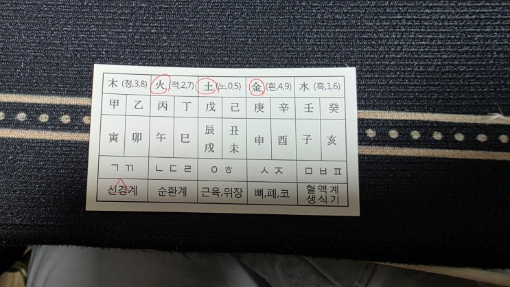  신촌 사주 잘보는 곳 "갑목일주" 여자 사주 보고 왔어요 "힐링철학원 작명소"