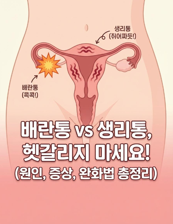 배란통, 생리통과 헷갈리지 마세요(원인·증상·완화법 총정리)