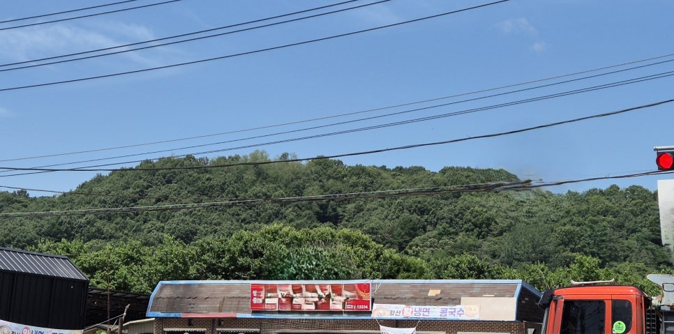 응봉산 사진 3