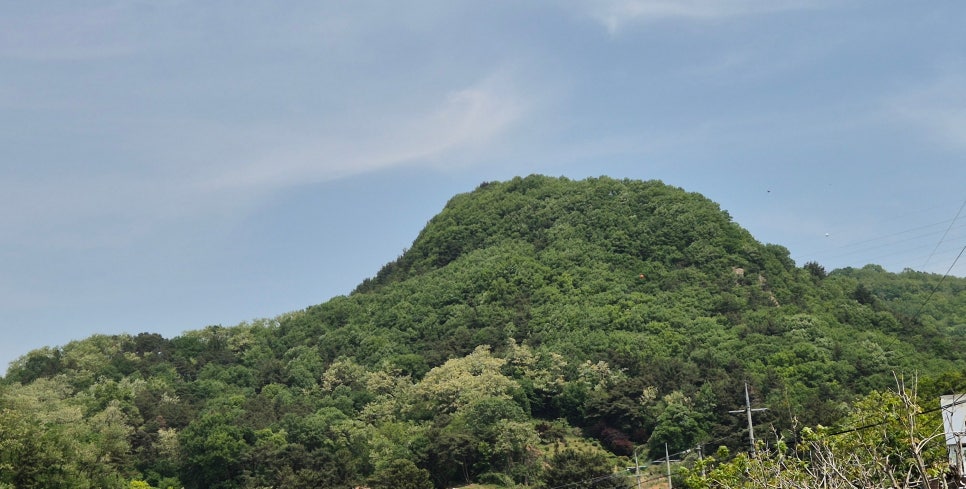 응봉산 사진 2