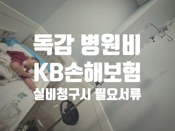 독감 병원비 KB손해보험 실비 청구 시 필요 서류