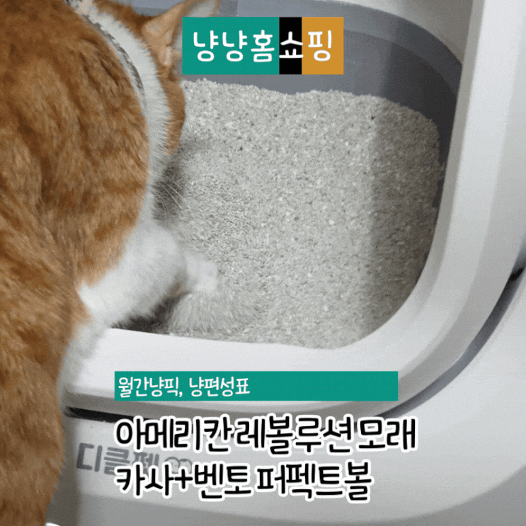  아메리칸 레볼루션 퍼펙트볼 응고력 좋은 모래 찾는 집사라면! 카사바블렌딩 고양이 모래 추천