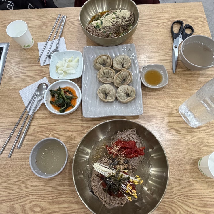  용산아이파크몰맛집 / 생방송투데이 에 방영된 자가제면 막국수맛집 [ 꿈꾸는 메밀 ]