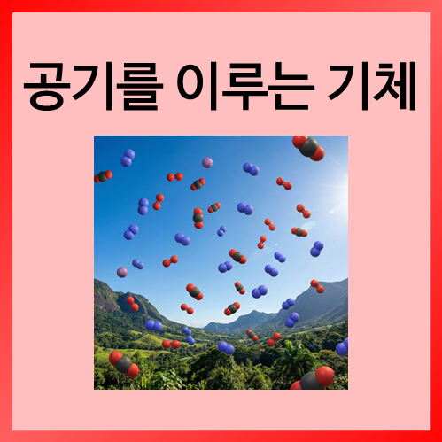  [초등화학]공기를 이루는 기체