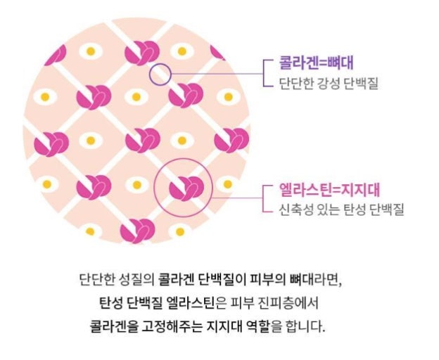 탄력 화장품 성분 총정리 (콜라겐·펩타이드·레티놀·엘라스틴·아데노신·보툴) + 추천 조합,....