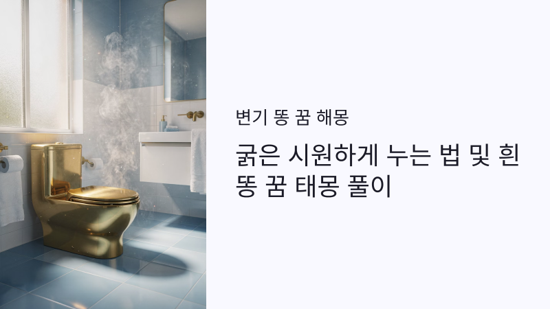 변기 똥 꿈 해몽 굵은시원하게 누는 법 및 흰똥 꿈 태몽 풀이