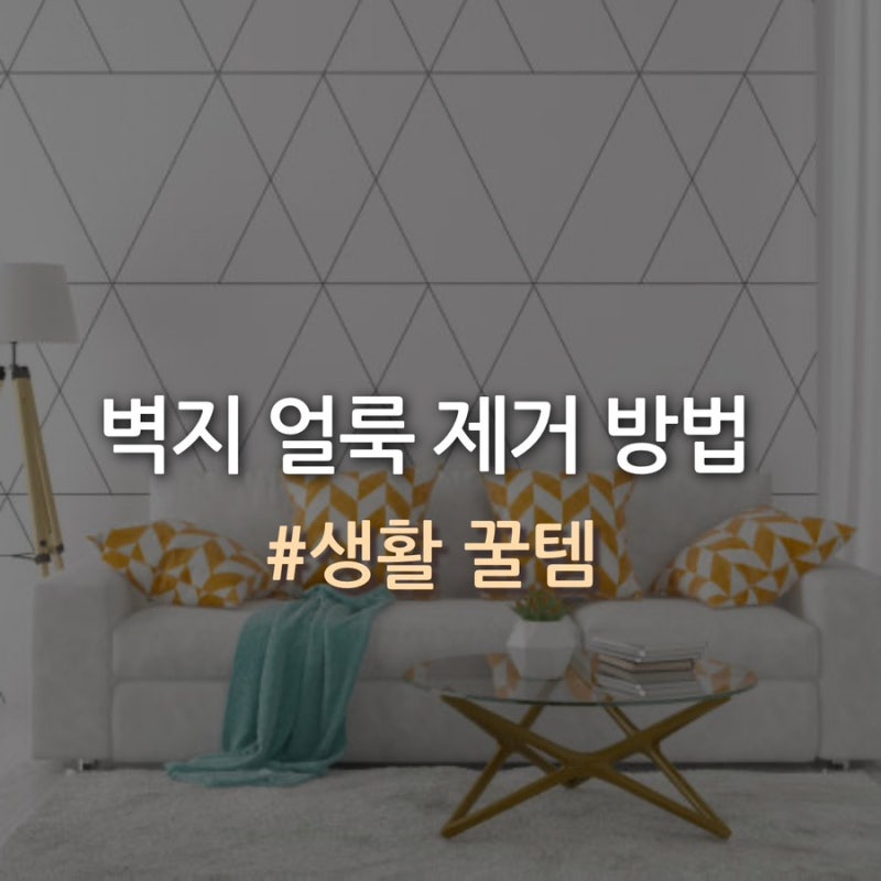 벽지 얼룩 제거 방법 볼펜 김치 커피 곰팡이