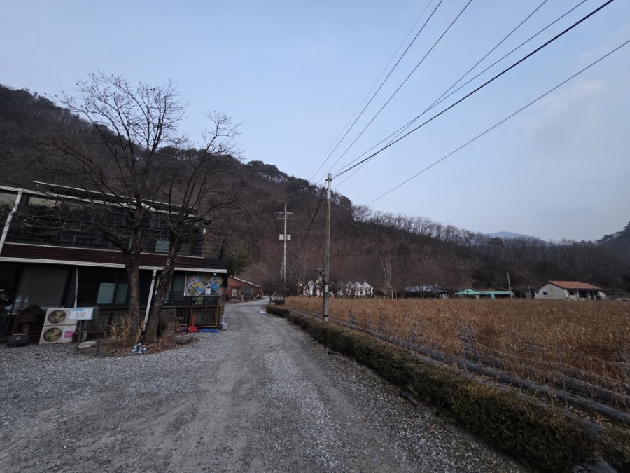 정선애펜션&캠핑장 사진 6