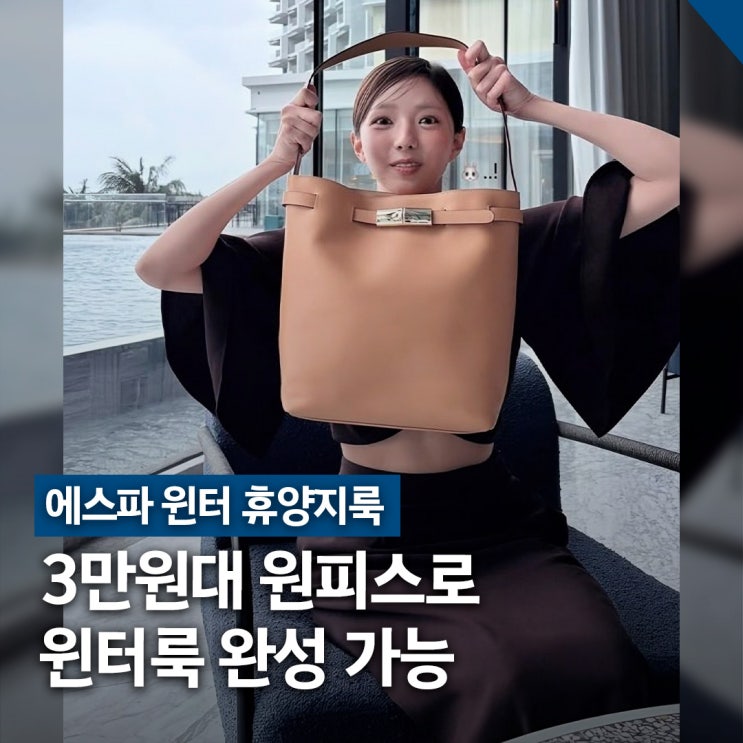  채수빈 롱샴 신상 가방, 르 스마트 숄더백 176만원