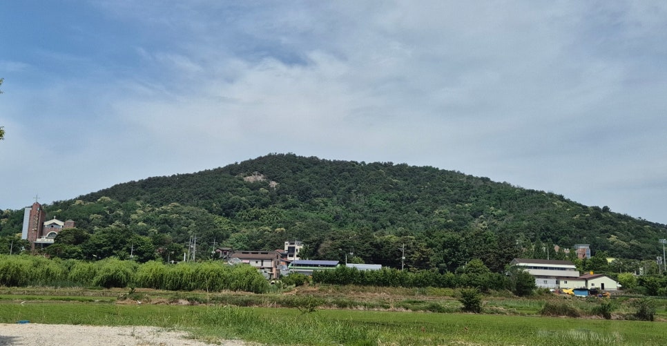 응봉산 사진 6