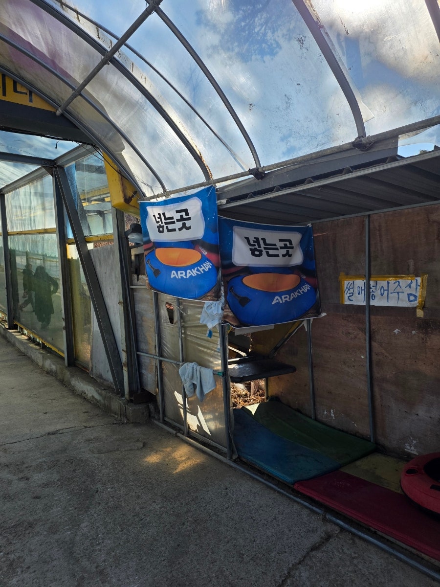 덕산온천 눈썰매장 사진 5