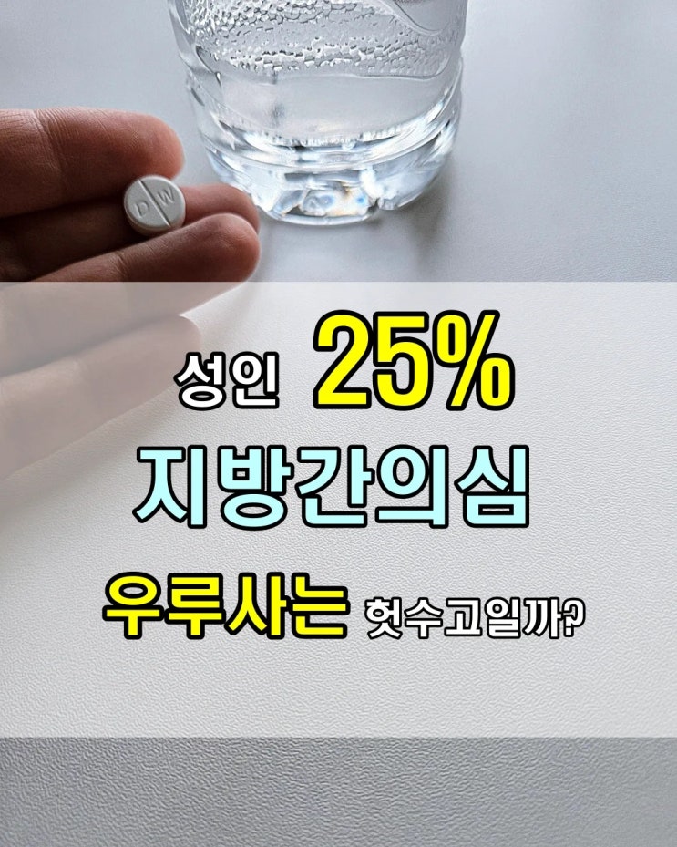  복부지방 4050, 지방간 의심될 때 약국 우루사 100mg 먹어도 효과 없는 이유 3가지