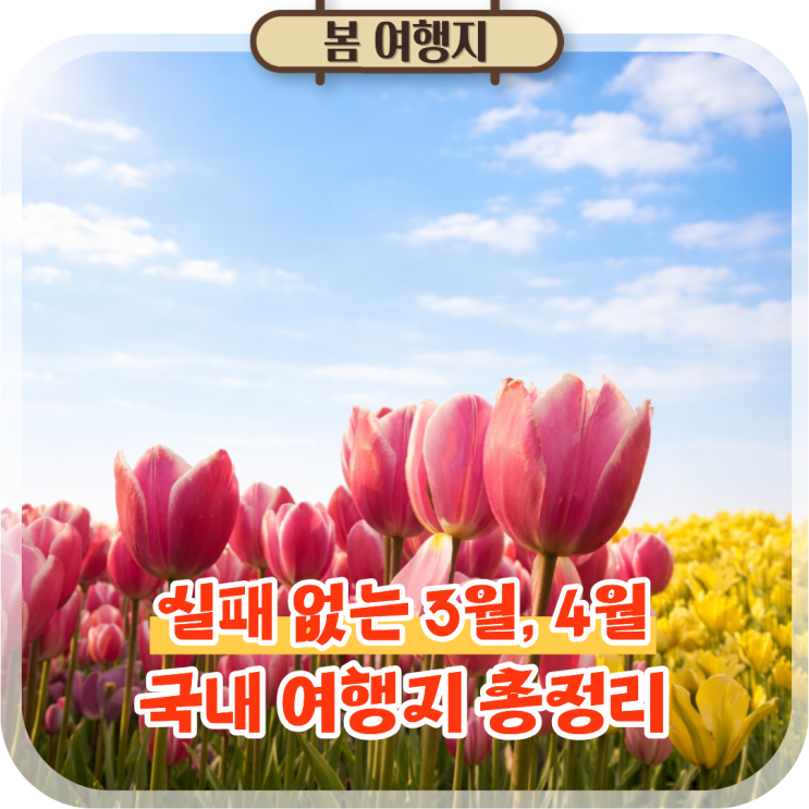  3월 4월 국내 봄 여행지 추천, 실패 없는 BEST 5