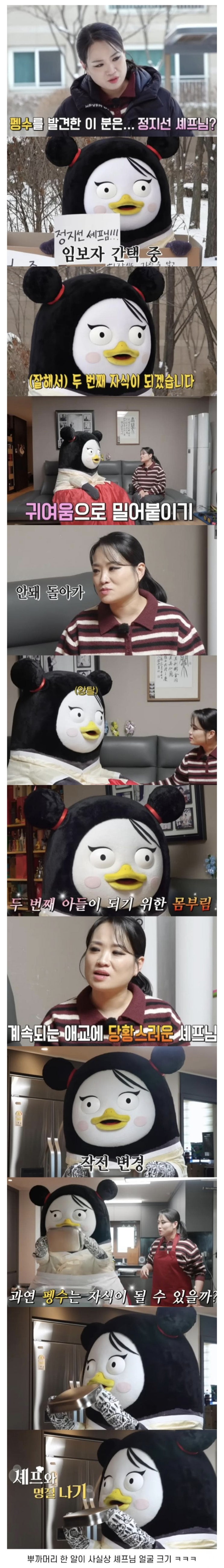  뿌까 머리하고 정지선 셰프 만난 펭수.jpg