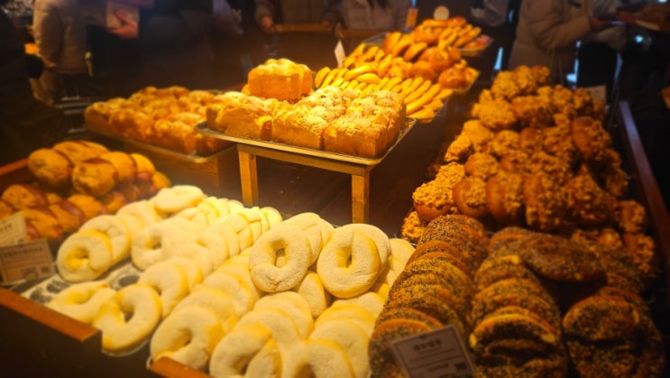  2026 성심당 명예의 전당 빵 가격·맛 후기 정리 (직접 먹어본 솔직 후기)