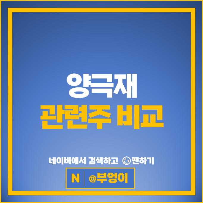 2차전지 양극재관련주 에코프로비엠 주가 에코프로 주식